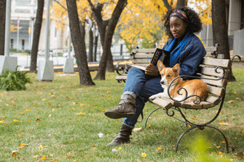 a dogs purpose producer a dogs purpose producer
