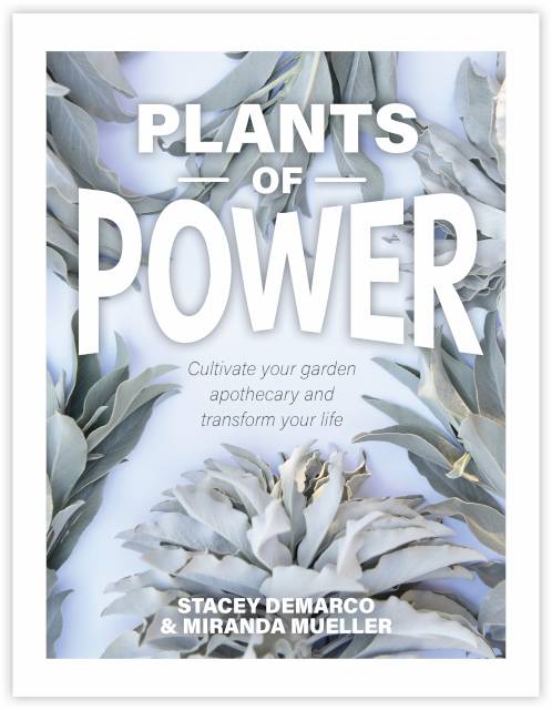 Plants Of Power