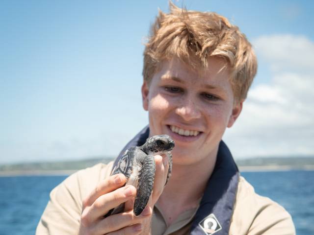 Sea Turtle Released