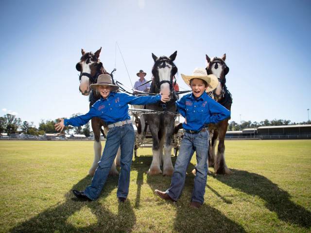 Scenic Rim Clydesdale Spectacular