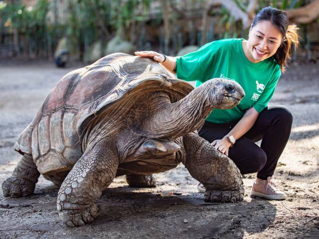 Christmas at Taronga Zoo