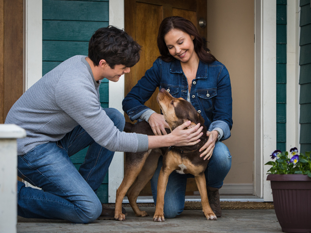 Ashley Judd A Dog's Way Home