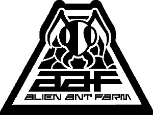 Diva's News Flash - Alien Ant Farm Survives Crash