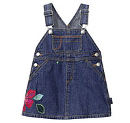 Baby Gap Embroidered Denim Dress/Skirtall