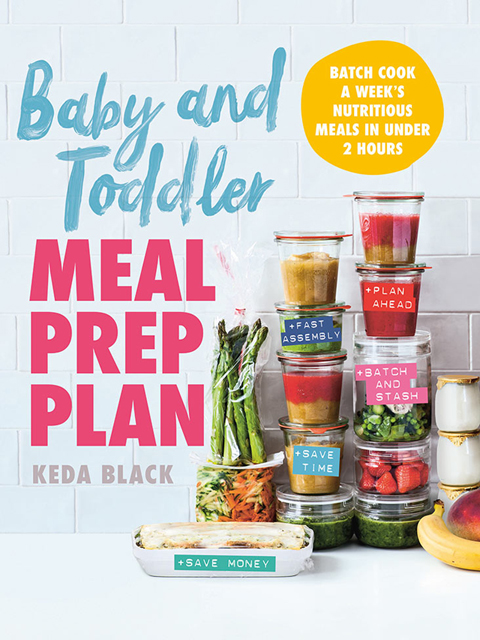Baby and Toddler Meal Plan Prep