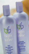 Bain De Terre - Kiwi Shampoo & Lavender Conditioner