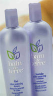 Bain De Terre - Kiwi Shampoo & Lavender Conditioner