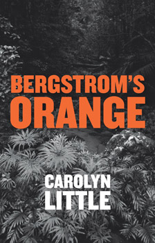 Bergstrom's Orange
