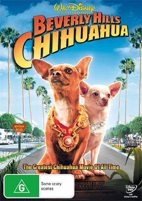 Beverley Hills Chihuahua