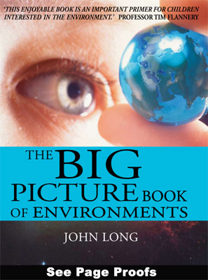 The Big Picture Book of Environments