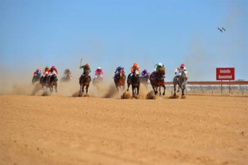 Birdsville Races