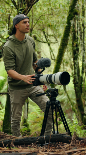 Why Birdwatching Is Having A Moment And The Scenic Rim Is The Place To Do It