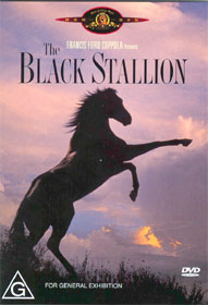 The Black Stallion