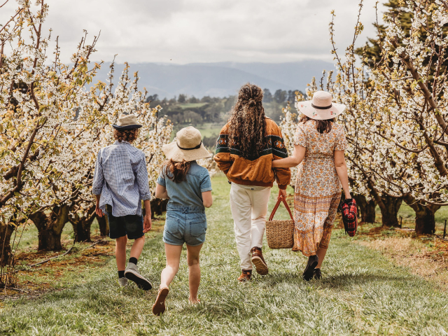 CherryHill Orchards Blossom Festival in full Bloom Just in Time for the School Holidays