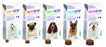 Bravecto Pet Packs