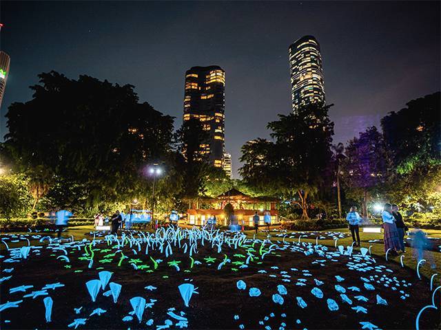 Brisbane gardens glow after dark as Botanica returns