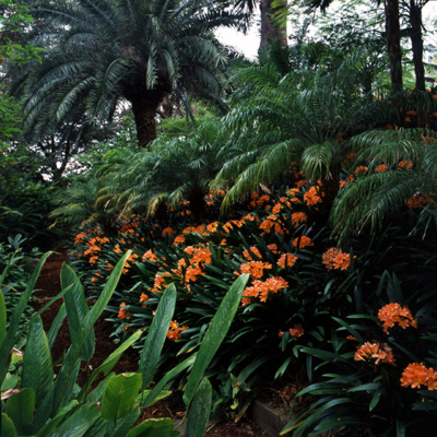 Spring at Bronte House