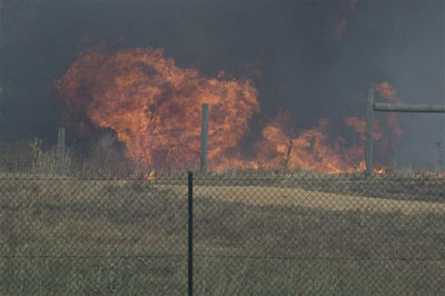 Black Saturday Bushfires