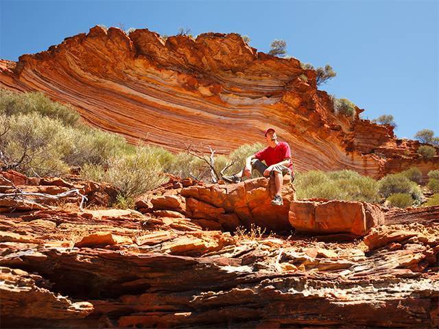 Study reveals summer bush walk danger