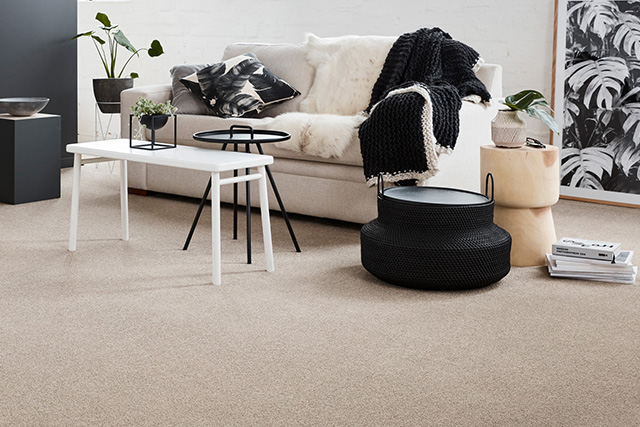 What Your Carpet Says About You and Your Space