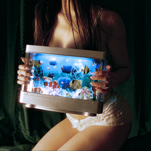 Casandra Reveals New Single 'Solution'