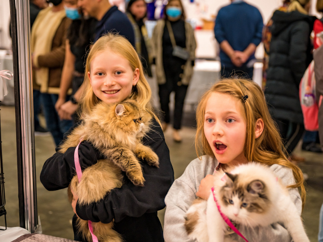 Cat and Dog Lovers Festivals Return to Celebrate Australia's Pet-Loving Community