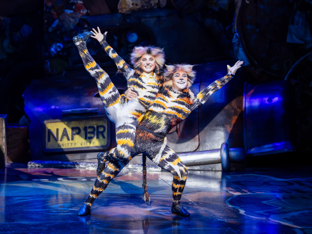40th Anniversary Australian Tour of CATS Opens to Great Acclaim