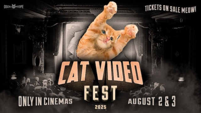 CatVideoFest In Cinemas 2 & 3 August