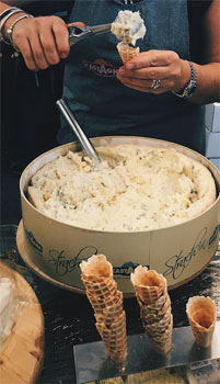 The Smelly Cheese Shop at Good Food & Wine Show