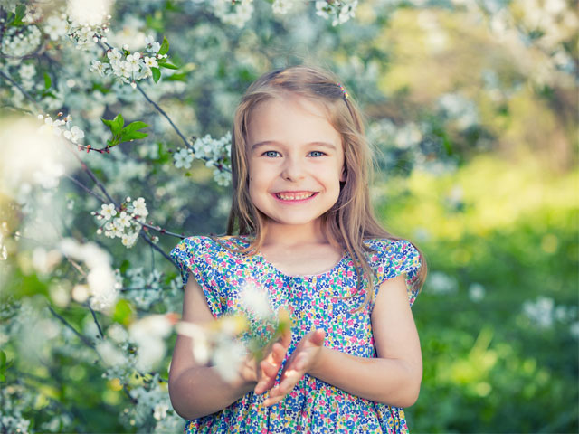 Cherryhill's Blossom Festival