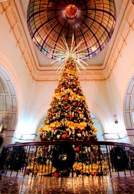 Australia's largest indoor Christmas tree lights up QVB