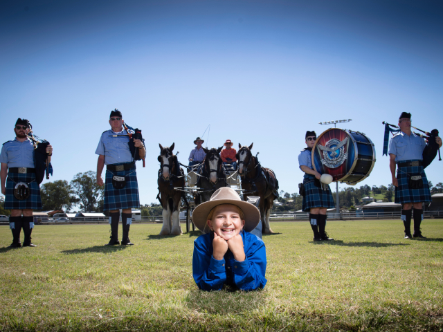 The Scenic Rim Clydesdale Spectacular Returns