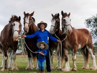 Scenic Rim Clydesdale Spectacular