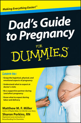 Jane Palmer Pregnancy For Dummies Interview