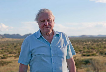 Sir David Attenborough Narrates BBC Earth's Life story Installation at Vivid Sydney
