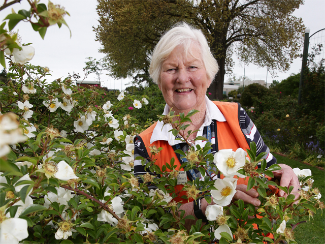 Del Matthews International Rose Garden Festival Morwell Interview