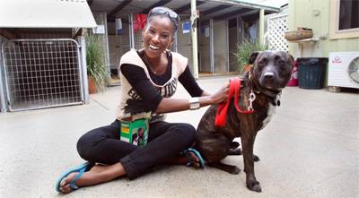 Deni Hines visited The Sydney Dogs and Cats home