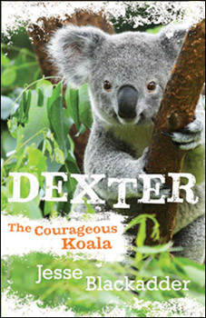 Dexter: The Courageous Koala
