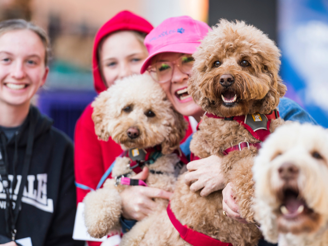 Brisbane Dog Lovers Festival 2026