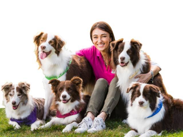 Melbourne Dog Lovers Show