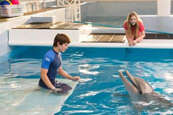 Dolphin Tale 2