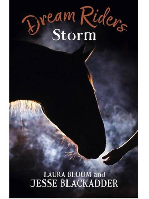 Dream Riders: Storm