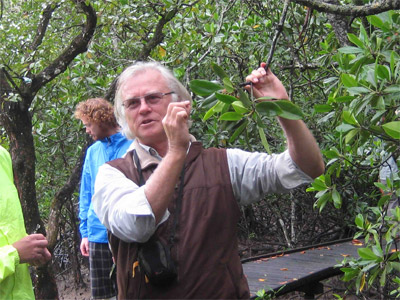Dr Norm Duke Blue Forests' Interview
