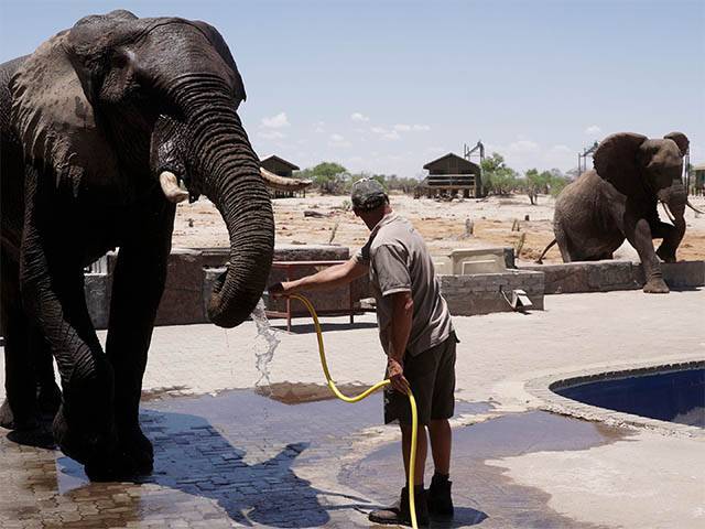 Elephant Refuges