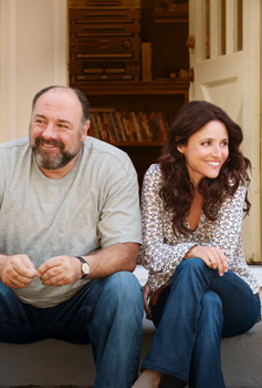 Julia Louis-Dreyfus and James Gandolfini Enough Said