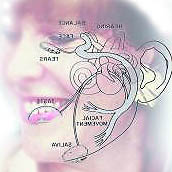 Bell's Palsy