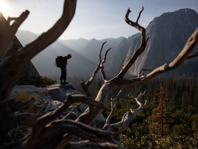 Free Solo Directors Interview