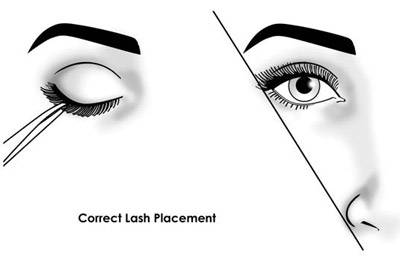 The Art of Applying False Lashes Correct Lash Placement