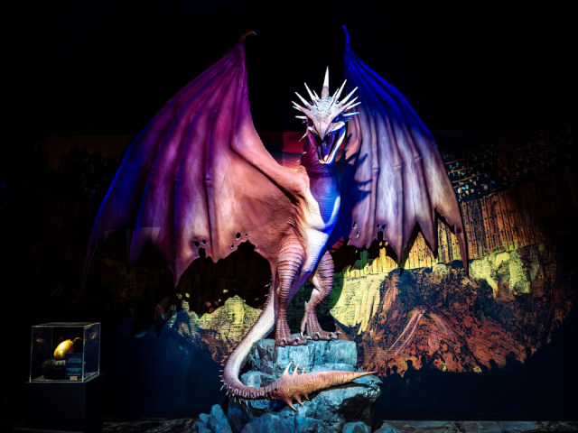 Harry Potter: The Exhibition is Coming to Sydney