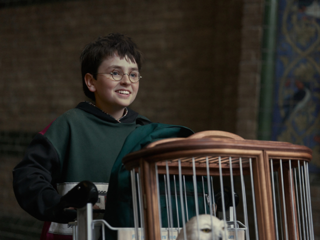 HBO Original Harry Potter Series Releases First Official Teaser and Announces Debut Date